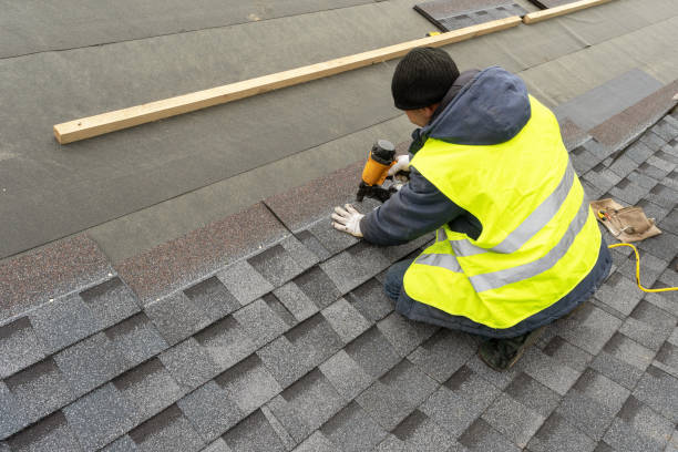 Roof Gutter Cleaning in Pittsburg, TX