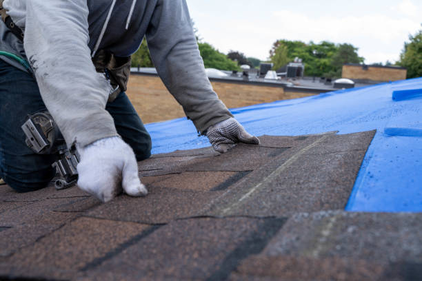 Quick and Trustworthy Emergency Roof Repair Services in Pittsburg, TX