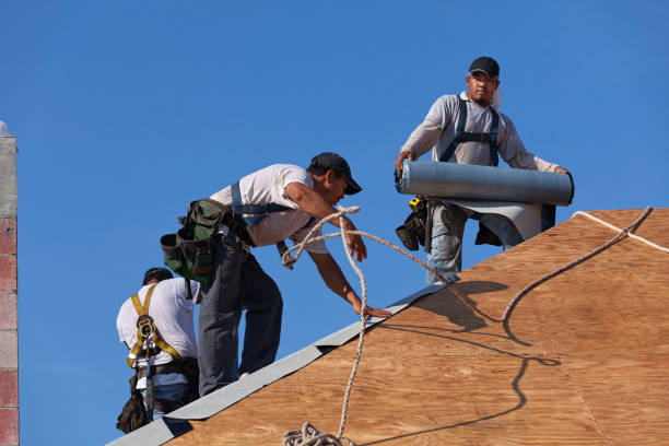Best Local Roofing Companies  in Pittsburg, TX