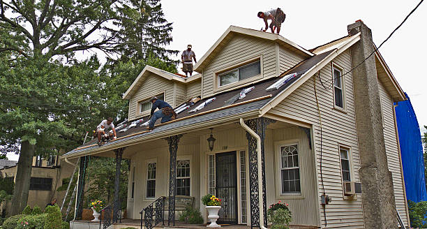 Best Storm Damage Roof Repair  in Pittsburg, TX